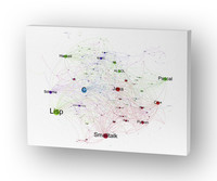 Network Graph of Programming Language Influence Canvas Print